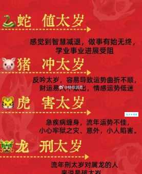 “十五明月上天宫”的生肖答案,你知道了么?