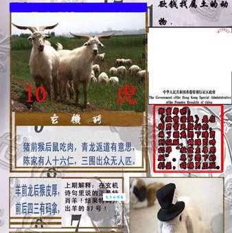 “十五明月上天宫”的生肖答案,你知道了么?