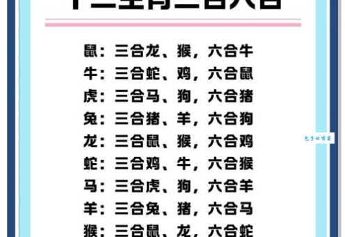 解谜:一心二用再合三究竟是什么生肖?