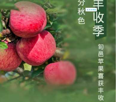 绿树红果丰收期是哪个生肖的象征？