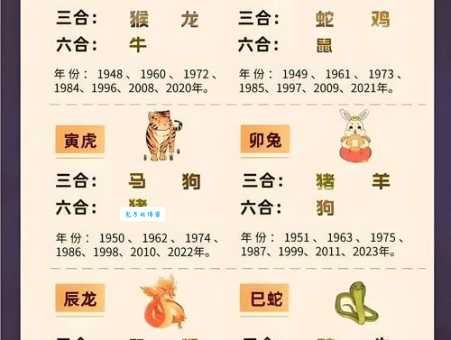 家里养的宠物是什么生肖?十二生肖里哪个是你的宠物