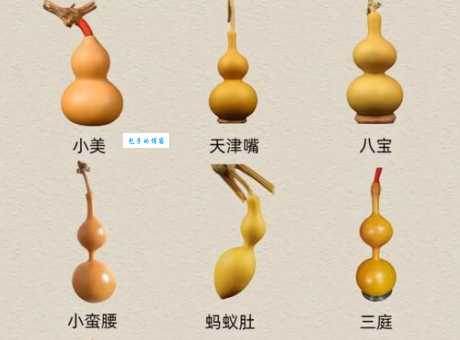 闷嘴葫芦是什么意思？和闷葫芦有什么区别