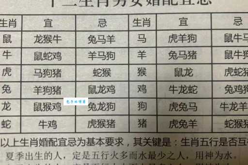 阳光明媚对应哪个生肖?答案揭晓!