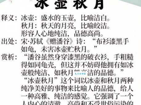 解读成语冰壶秋月：是什么意思？有什么典故？