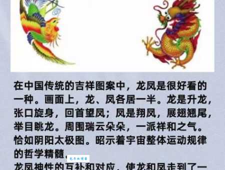 解读龙飞凤舞：成语寓意、象征意义及文化传承