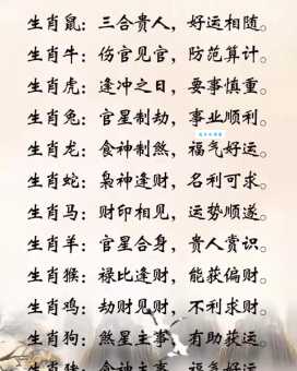 尺树寸泓暗示了什么?生肖鼠的隐藏寓意揭秘
