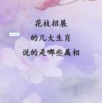 花枝招展代表什么生肖?你猜对了吗?