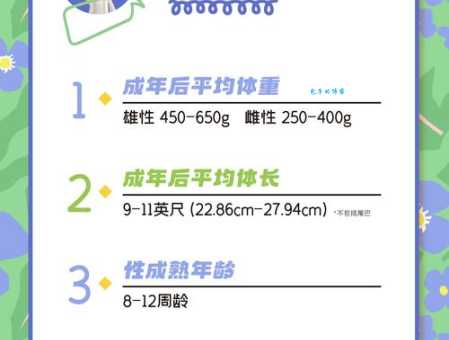 花枝招展代表什么生肖?你猜对了吗?