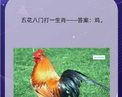 归心如飞是哪个生肖？速来揭晓答案！