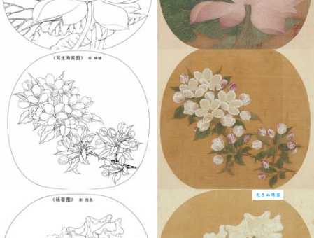 出水芙蓉是什么意思及用法?教你如何正确使用