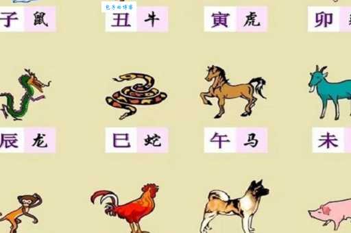 生肖中哪些动物最胆小怕事？深度解析胆小怕事生肖