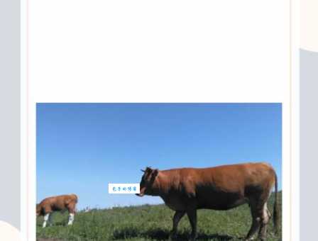 一笑天下乐非凡什么动物？揭秘生肖背后的秘密