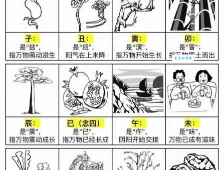 痿不忘起最佳一肖是哪个?揭秘生肖背后的含义
