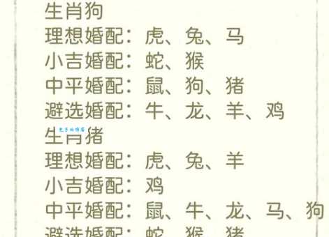 贵客临门是什么生肖?答案揭晓,快来看看!