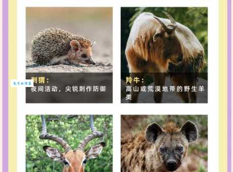 千变万化的动物：了解它们的生存智慧与魅力