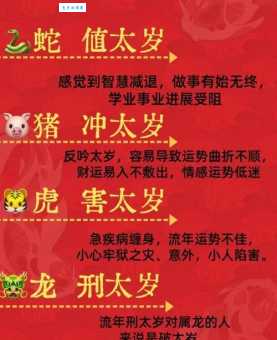 十二生肖中，哪个生肖最容易修炼成精？