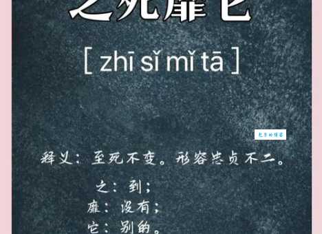 之死靡它是什么意思？附例句和近义词