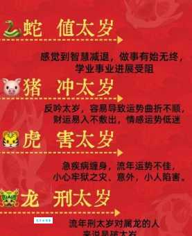 修炼成精打一生肖，你是什么生肖容易成精？