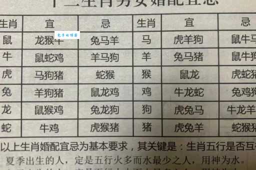 归心如飞是什么生肖?快速揭晓答案!