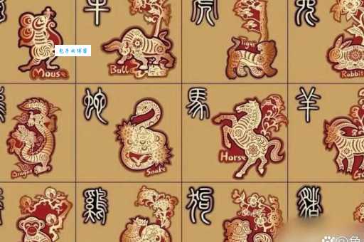 四分五裂是什么生肖？民间说法大汇总，看看哪个对！