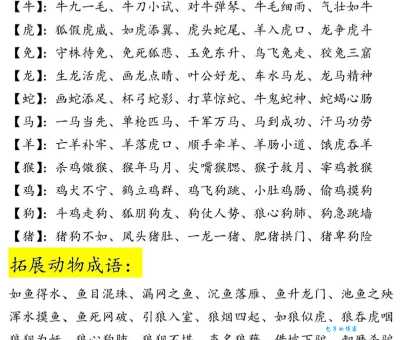 观者如堵是哪种动物？揭秘成语中隐藏的生肖秘密