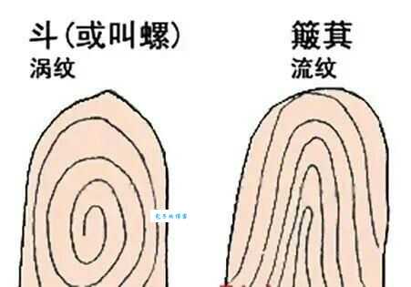 石投大海代表哪个生肖？民间说法及寓意解析