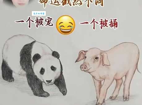 好吃懒做,打一生肖,你想到的是哪一个?