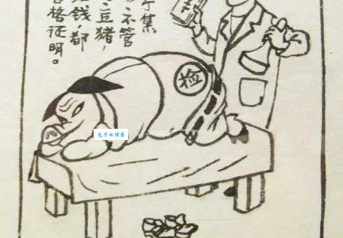猜谜语:死猪不怕开水烫,它是哪个生肖?