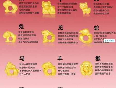 藏头露尾是哪个生肖？答案揭晓！