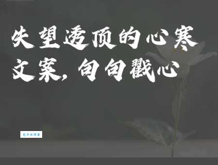 令人寒心是什么意思?深度解析其表达的失望