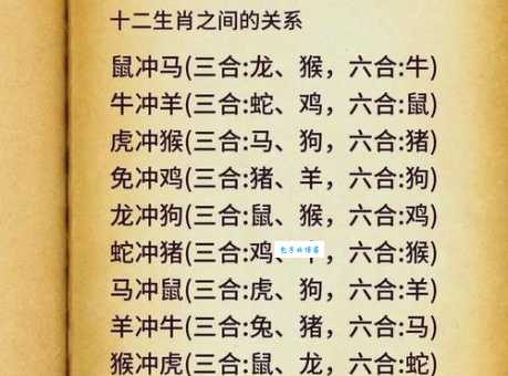 首当其冲在前面代表什么生肖?详解十二生肖排名之首