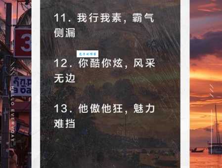 解谜:一路风尘一路歌,代表哪个生肖?