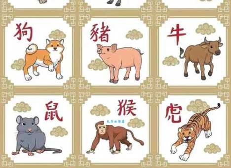 铜筋铁骨是哪个生肖动物?多种说法分析,揭开谜底
