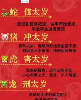 能征惯战是哪个生肖的象征？揭秘生肖背后的含义