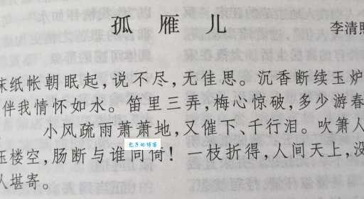 成语断雁孤鸿是什么意思?简单易懂的解释来了
