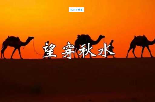 急切盼望，望穿秋水，这动物你猜到了吗？