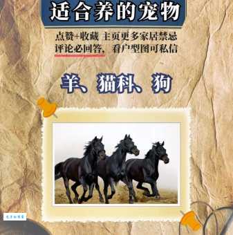 家里养的宠物对应哪个生肖？深度解析