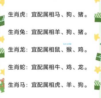 家里养的宠物对应哪个生肖?深度解析