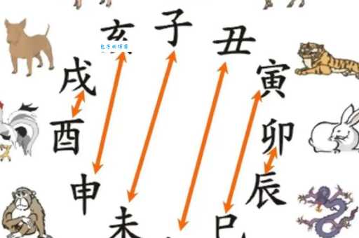 危亡关头形容什么动物？十二生肖里哪些动物最能代表？