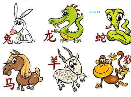 危亡关头形容什么动物?十二生肖里哪些动物最能代表?