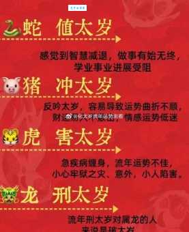 九死一生到底是什么生肖?让你大吃一惊的答案!