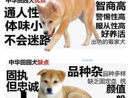 “乡土难离”是哪个动物的特性?快来猜猜看!