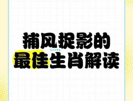 捕风捉影是什么意思？教你轻松理解这个成语