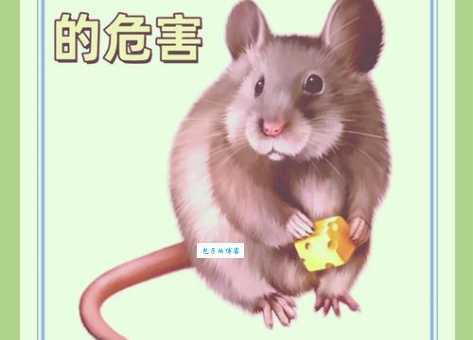 老鼠是贪生怕死的动物吗？详解动物行为学