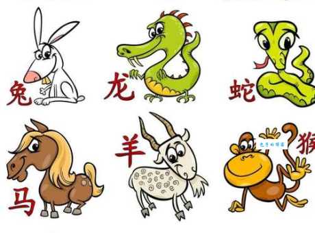 方寸不乱代表什么动物?十二生肖中哪个最稳重?