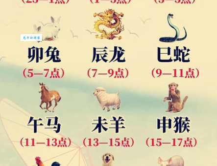 方寸不乱代表什么动物？十二生肖中哪个最稳重？