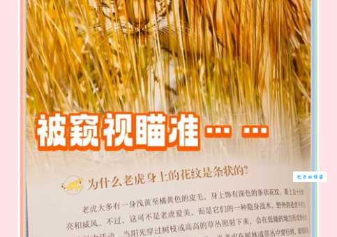 一家之主对应哪个动物?内幕真相大公开!