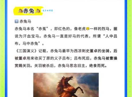 古代名马汗血宝马:你了解它背后的故事吗?