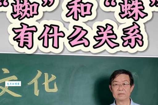 “蛛丝马迹”指的是什么动物?成语典故及动物解释!