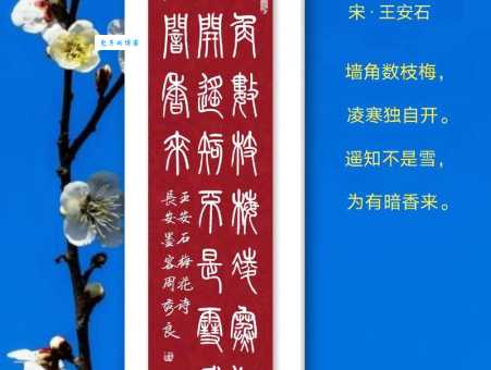 王安石的哪句诗是为有暗香来?这首诗的含义是什么